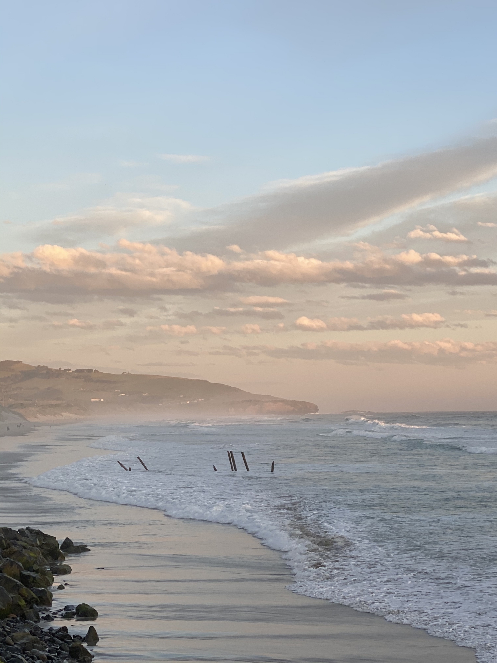 Dunedin beach